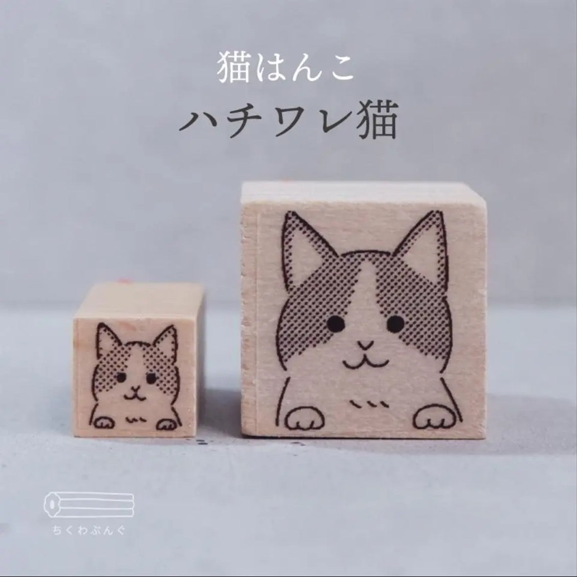 chikuwa bungu印章 八字貓