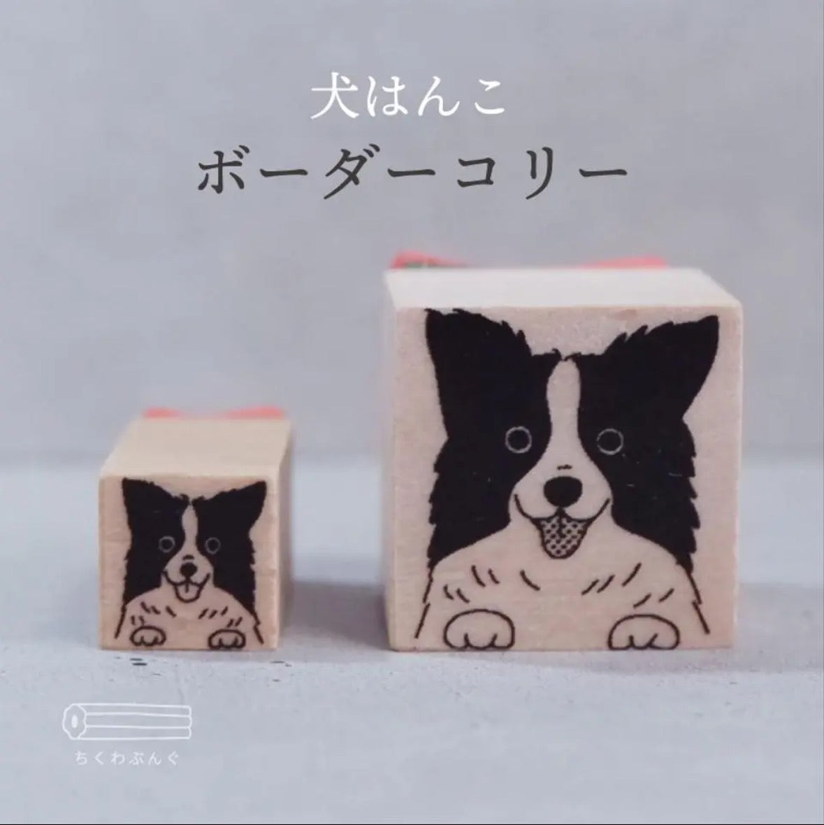 chikuwa bungu印章 邊境牧羊犬