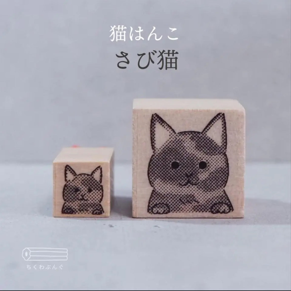 chikuwa bungu印章 玳瑁貓
