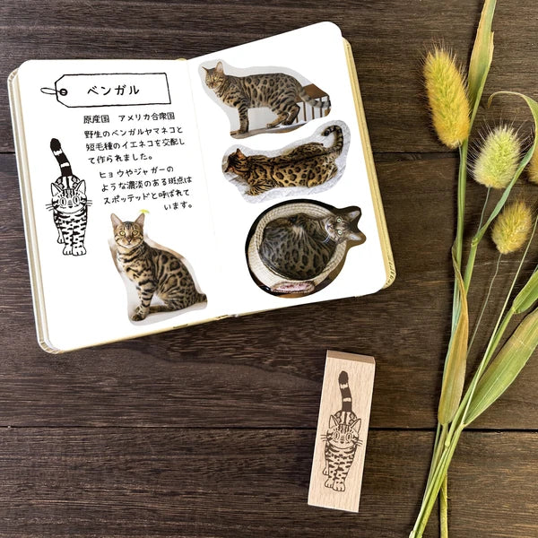 Arte木印章 孟加拉貓