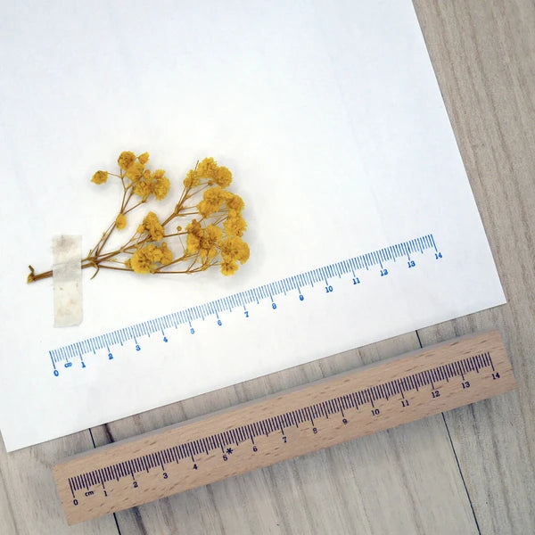 Arte木質長型印章 定規