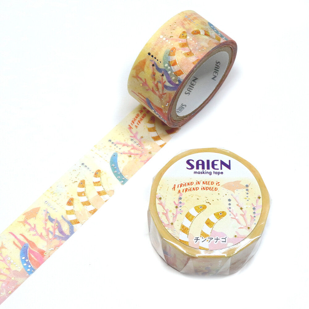 Kamiiso SAIEN MT 金箔 花園鰻