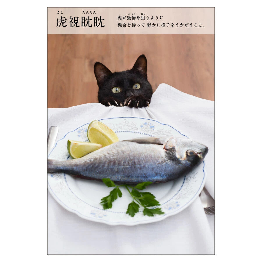 貓四字熟語明信片 虎視眈眈