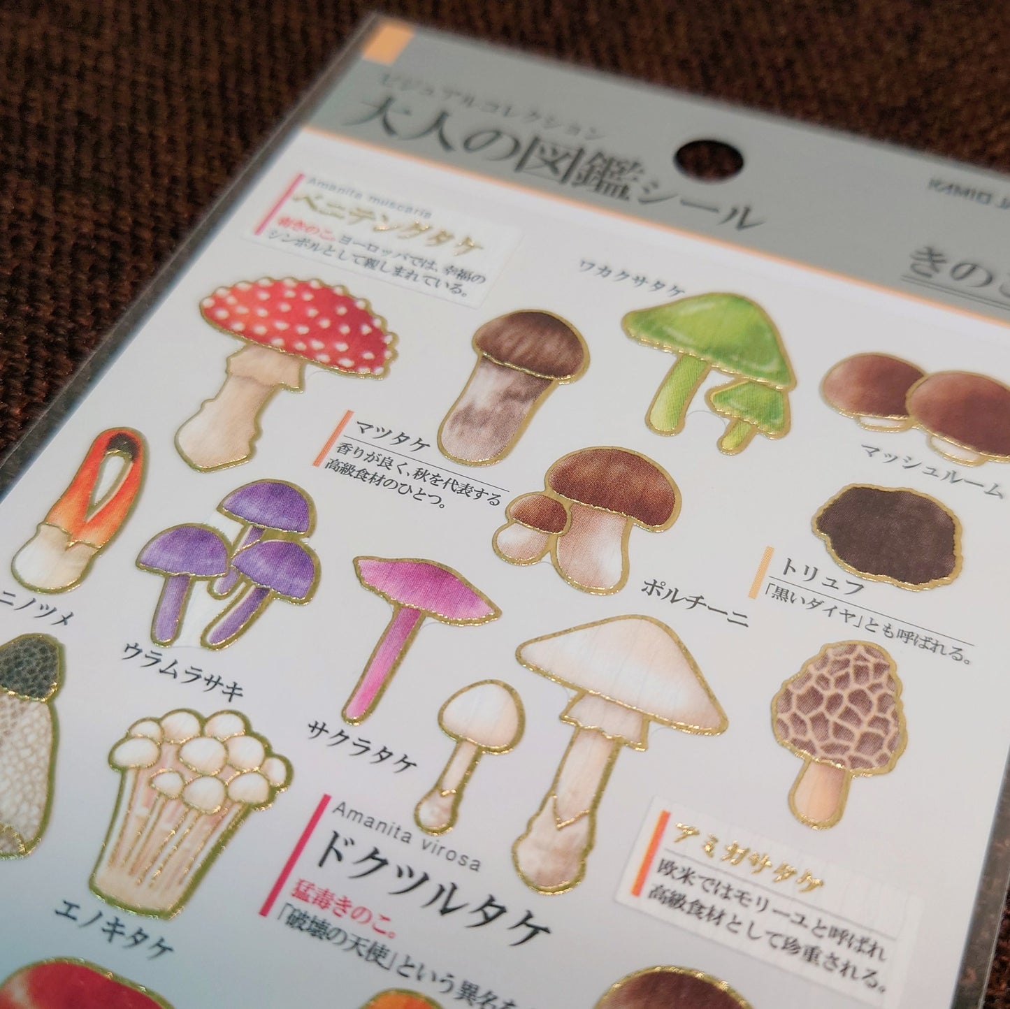大人の図鑑 貼紙 磨菇