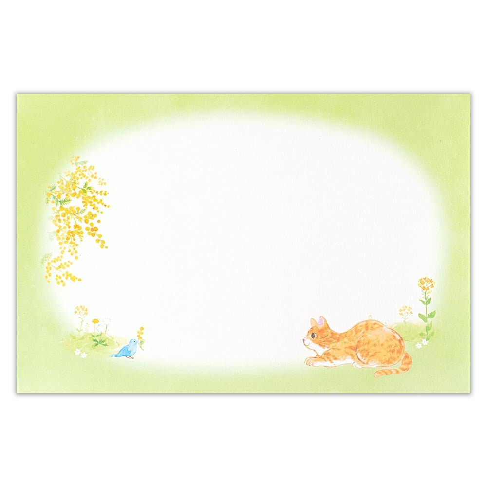 NB社 信封信紙套裝 春之含羞草貓