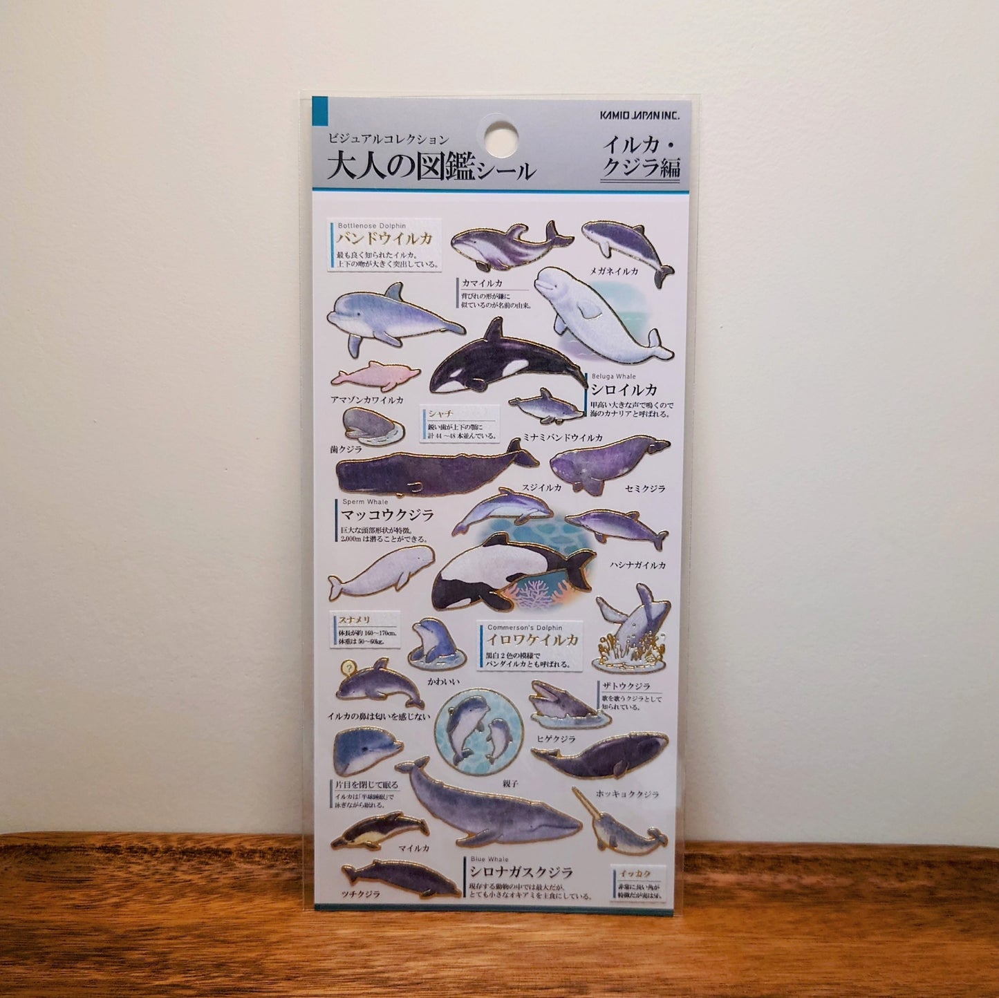 大人の図鑑 貼紙 海豚鯨魚篇