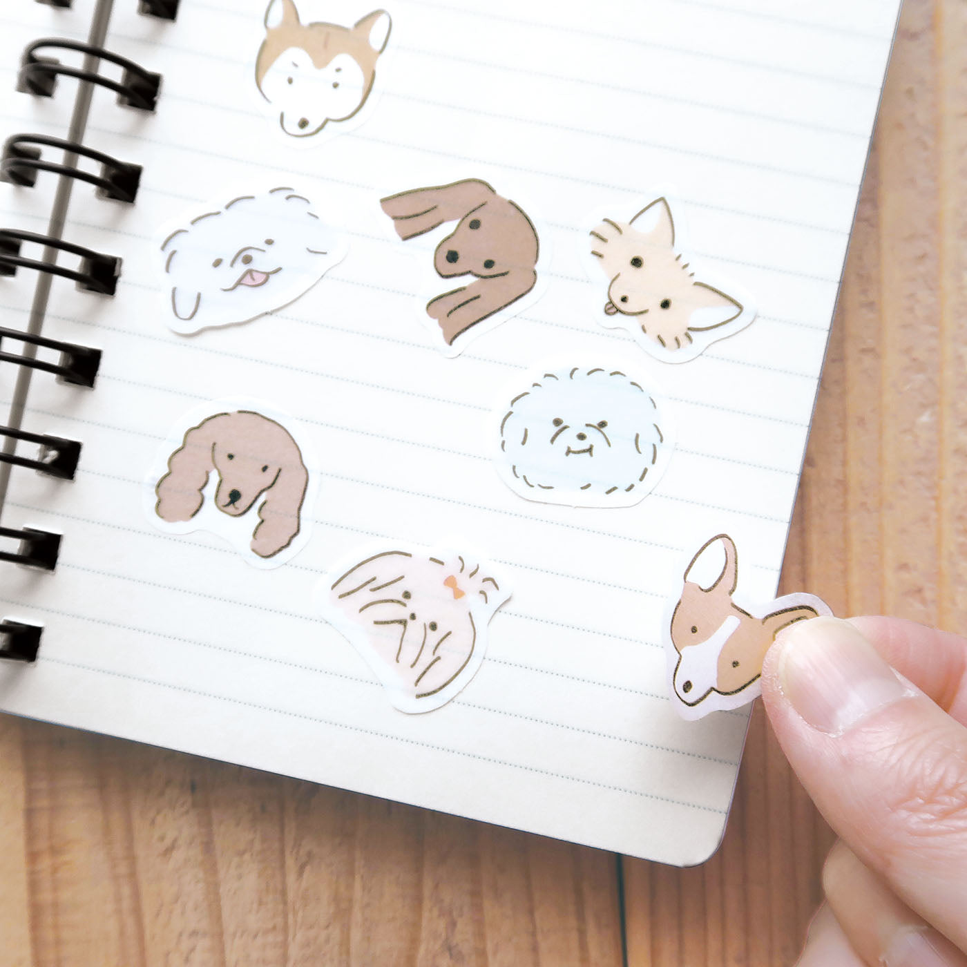 EL COMMUN Deco Flake sticker doggy