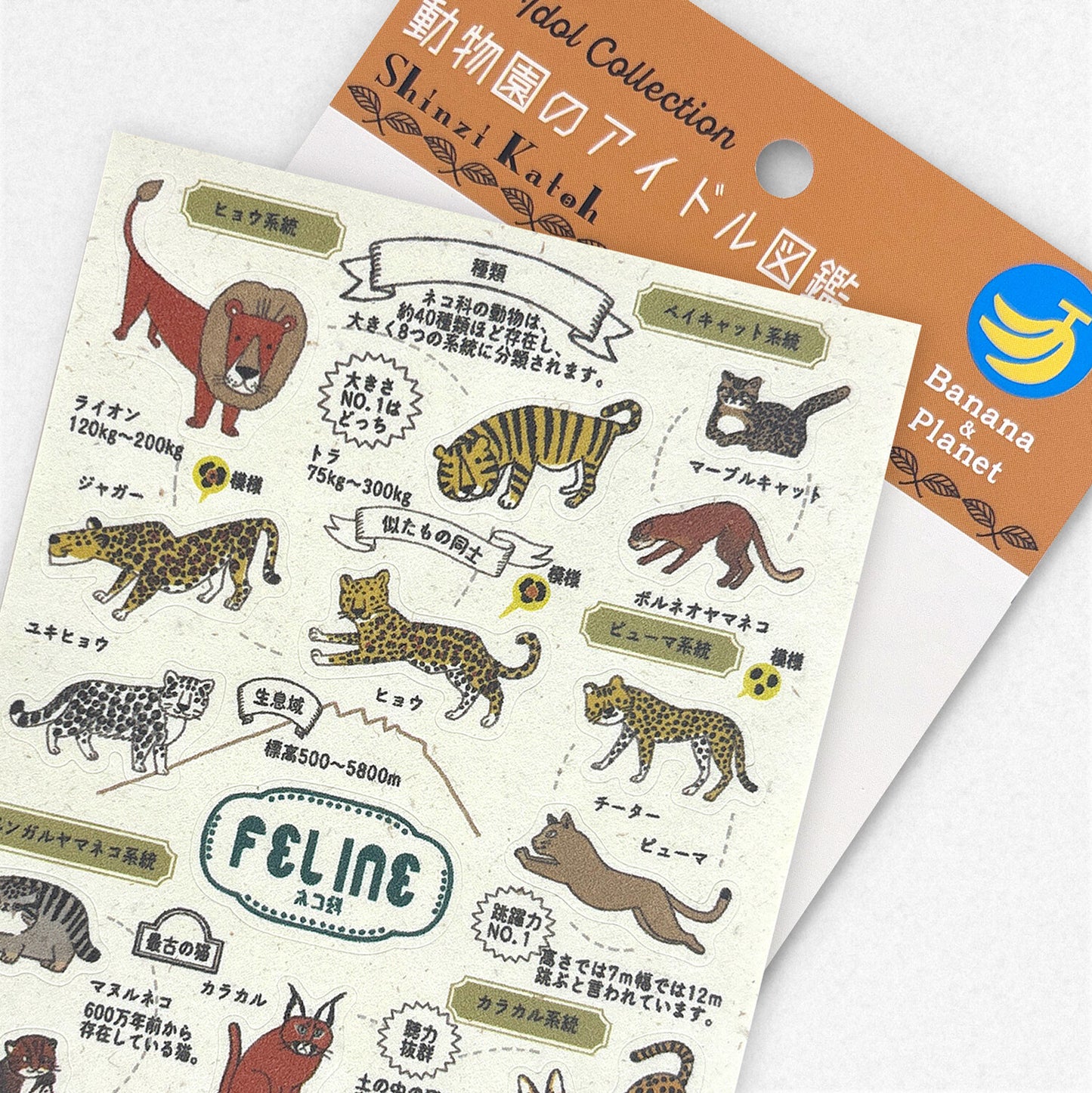 Shinzi Katoh動物園偶像圖鑑貼紙 貓科動物