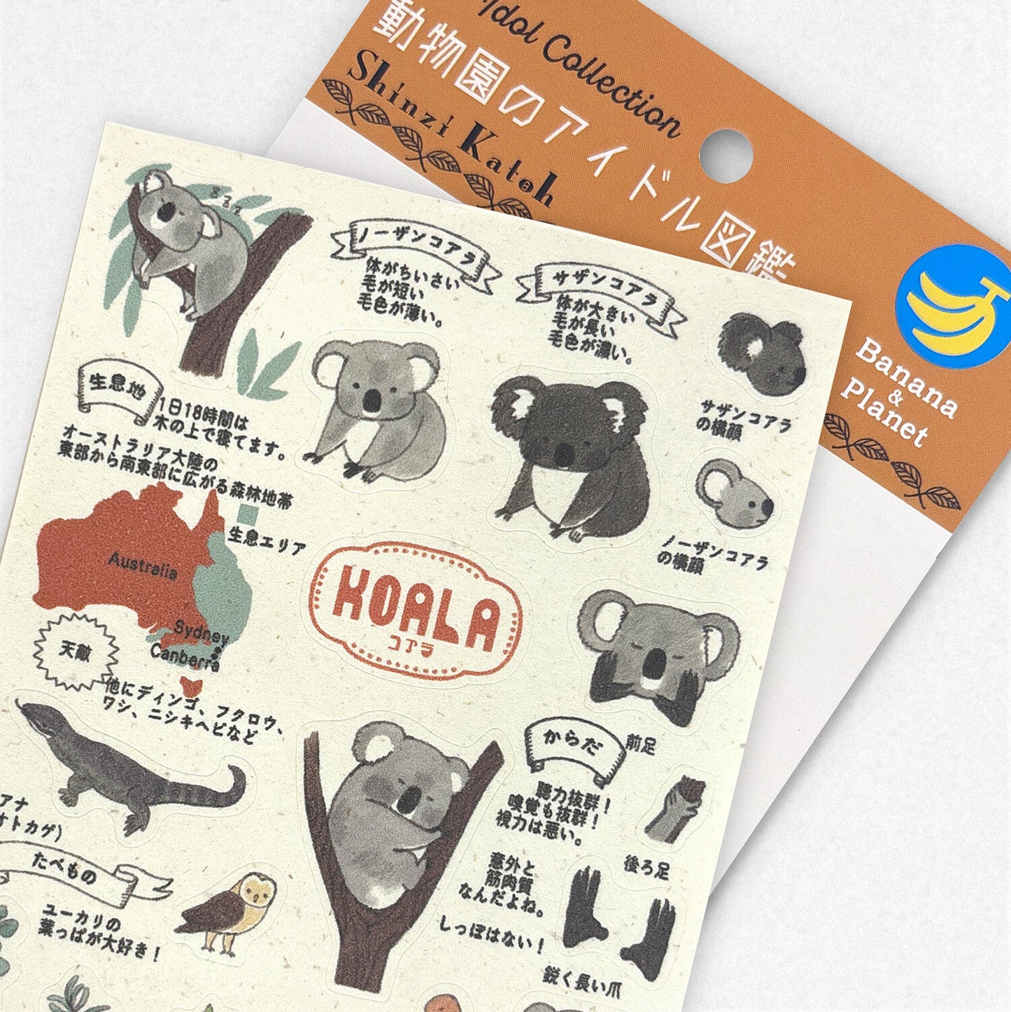Shinzi Katoh動物園偶像圖鑑貼紙 樹熊