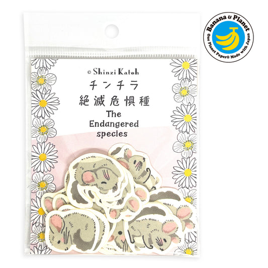 Shinzi Katoh 瀕危動物貼紙 長尾栗鼠