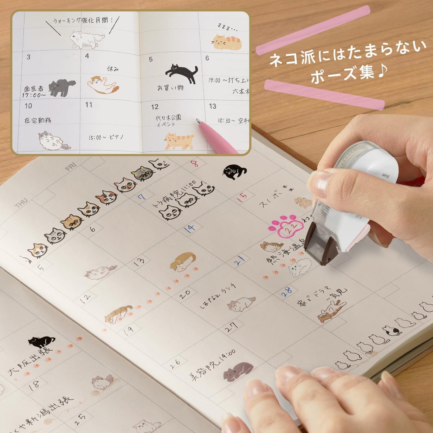 PLUS Neco rush 貓咪decorush 全7款