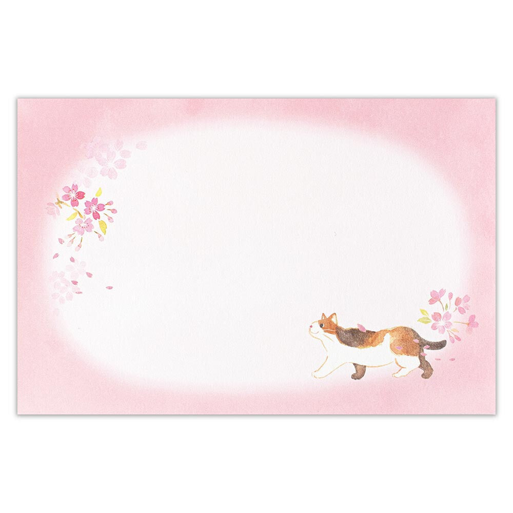 NB社 信封信紙套裝 春之櫻花貓