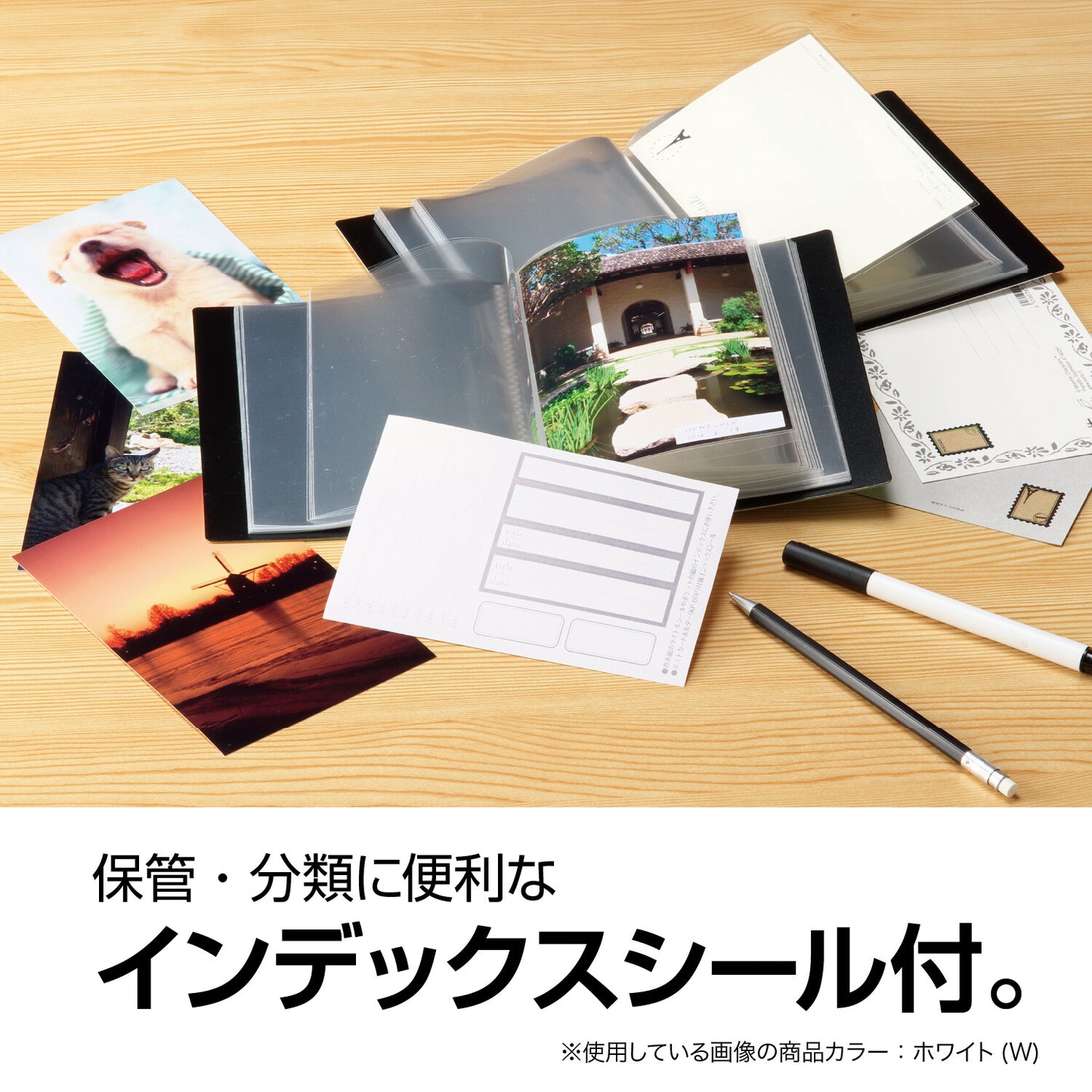 Sekisei 明信片收納本