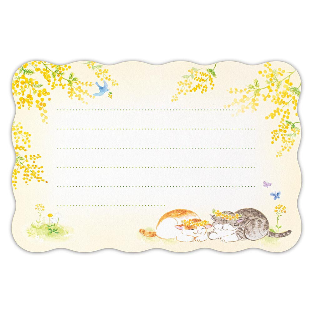 NB社 信封信紙套裝 春之含羞草貓