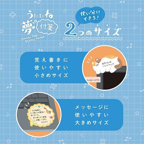 Kutsuwa 發夢memo 三色貓