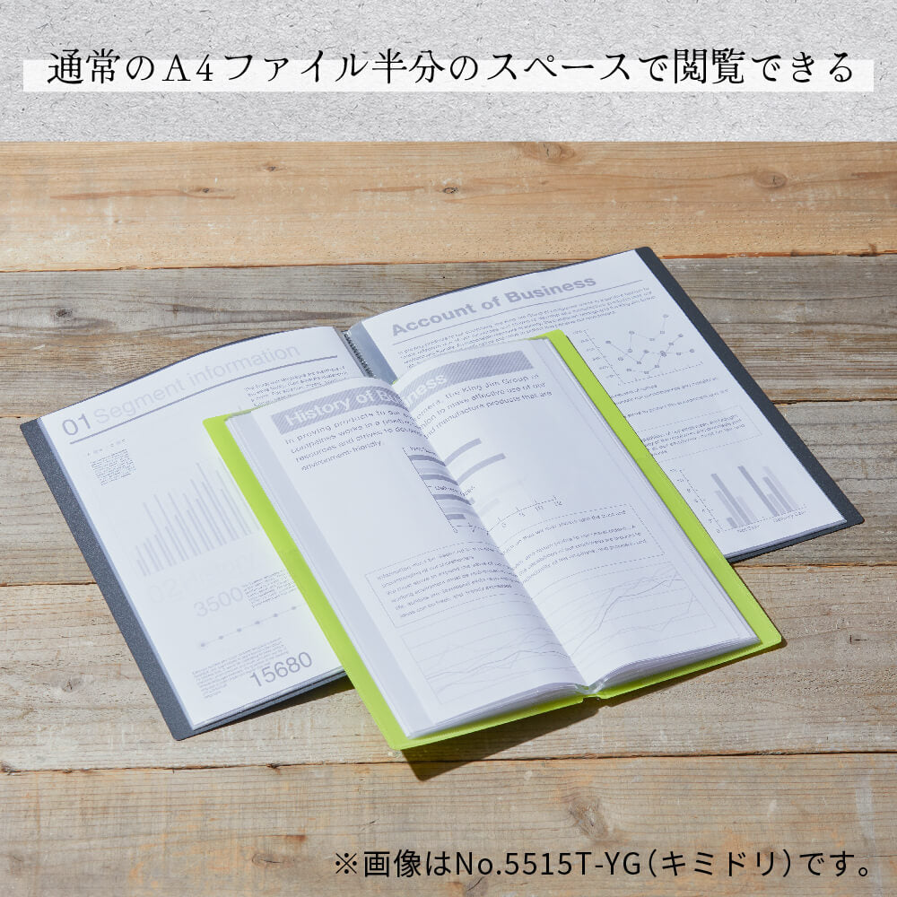 Kingjim HOSSO纖薄文件夾(25頁）