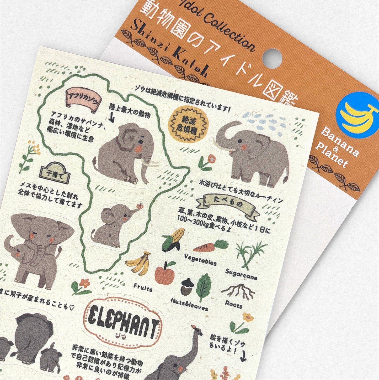 Shinzi Katoh動物園偶像圖鑑貼紙 大象