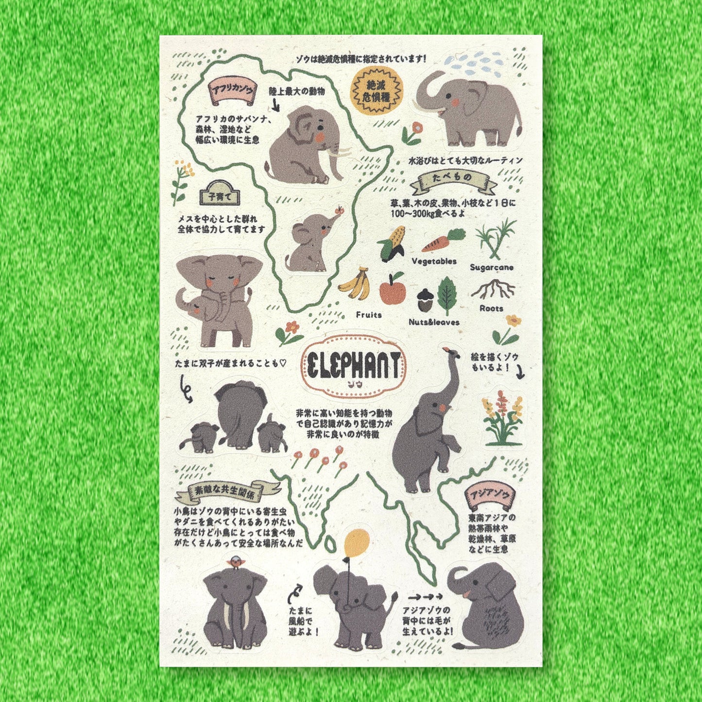 Shinzi Katoh動物園偶像圖鑑貼紙 大象