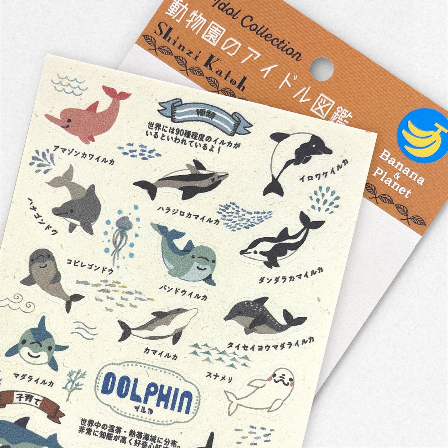 Shinzi Katoh動物園偶像圖鑑貼紙 海豚