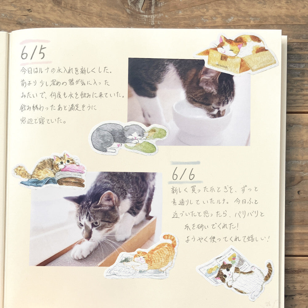NB社 Nekonobi系列貼紙 貓的常見行為