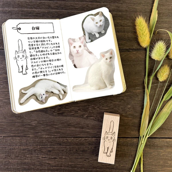 Arte木印章 白貓