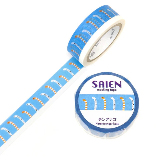 Kamiiso SAIEN MT 花園鰻