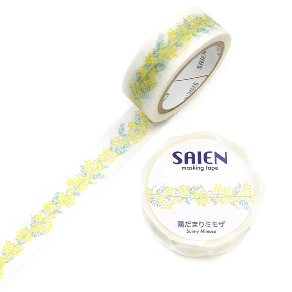 Kamiiso SAIEN MT 陽光下的含羞草