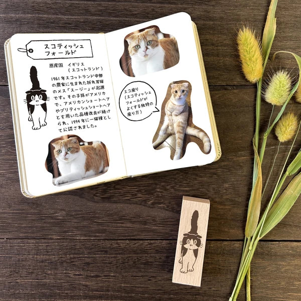 Arte木印章 蘇格蘭折耳貓