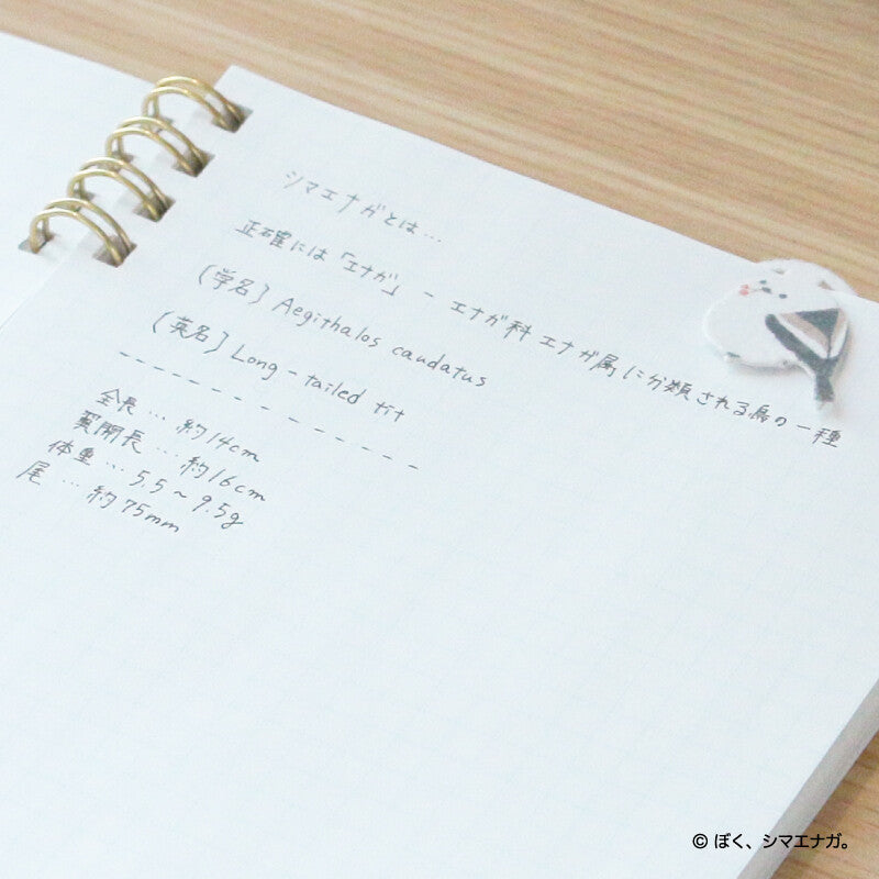 ROKKAKU 長尾山雀小書籤